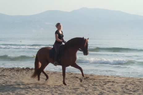 grandes paseos por el mar