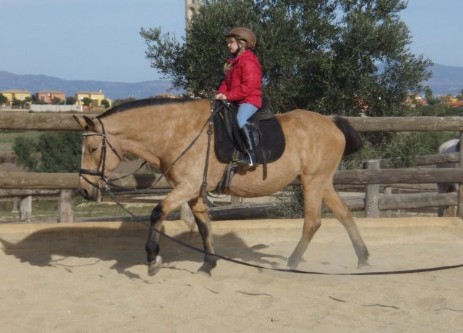 aprendiendo a montar