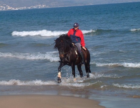 paseando an libertat