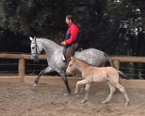 Paseando con la cria