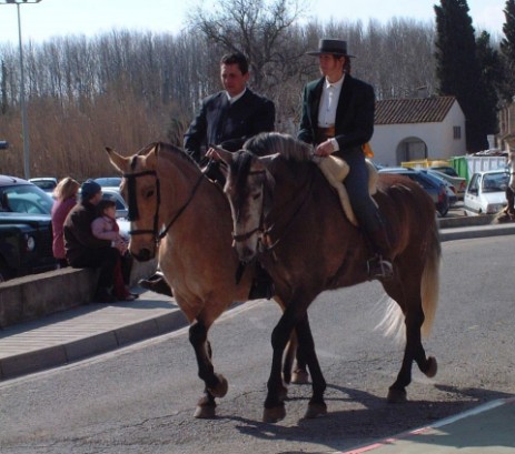 Cabaloos de fiesta