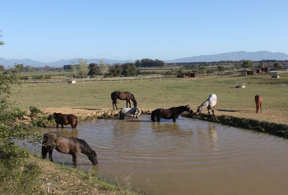 Disfrutando del aire libre