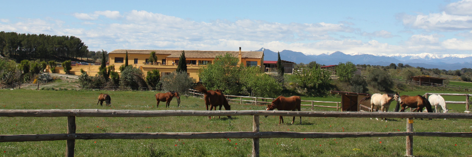Panoramica amb les vivendes al fons