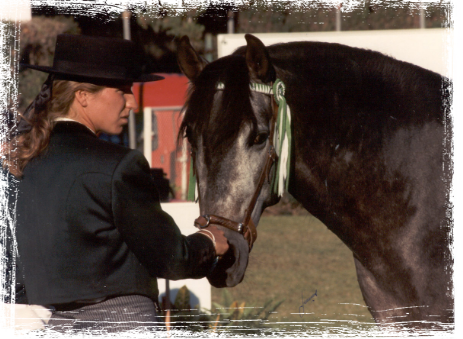 Majestuosa foto de caballs